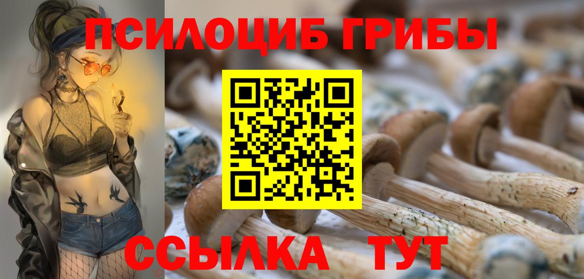 Псилоцибиновые грибы Cubensis  Вход с VPN  Хабаровск 